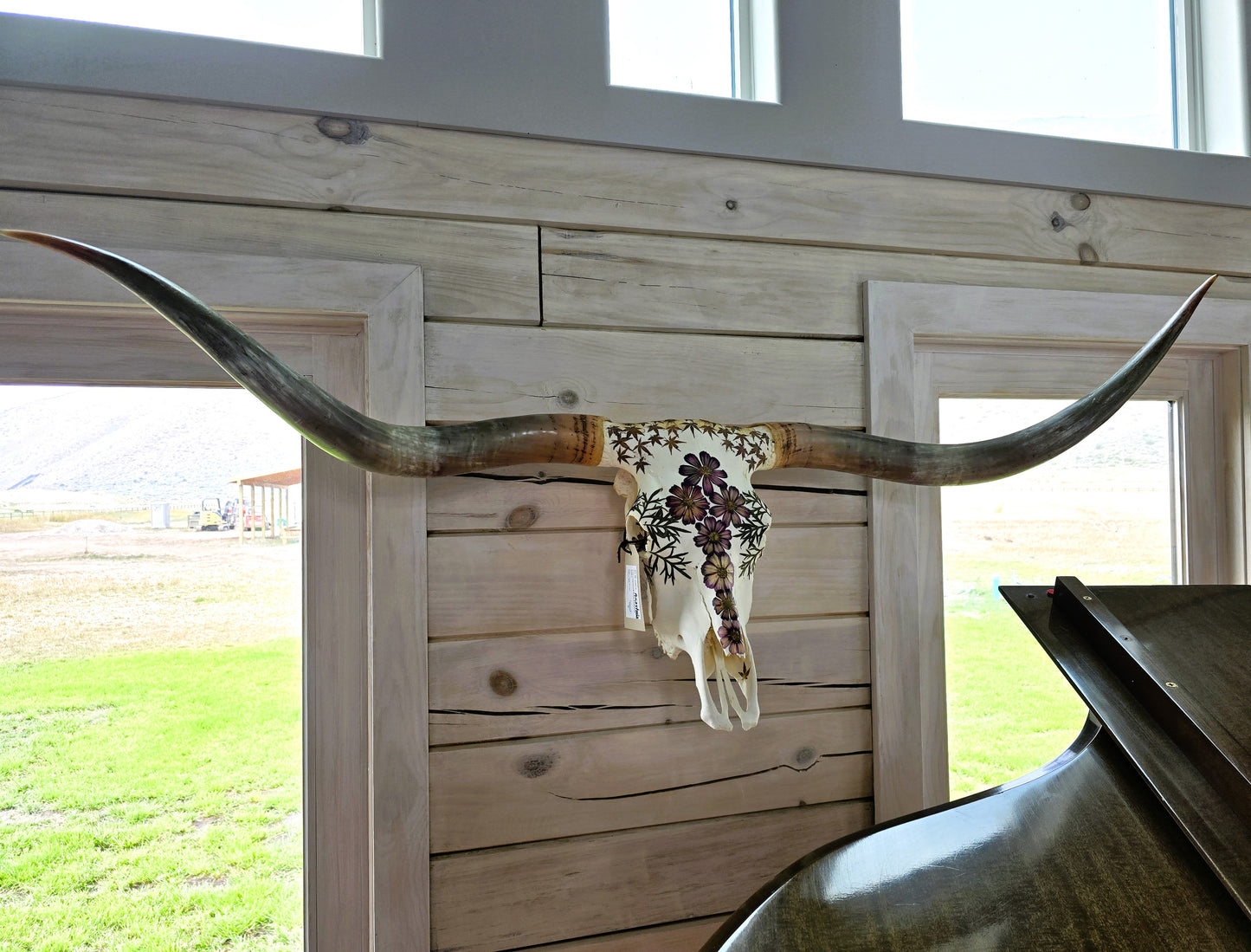 Anastasia - Texas Longhorn Steer Skull