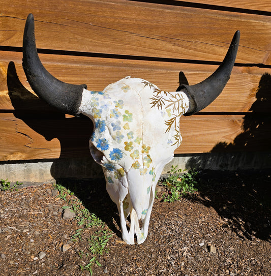 Breeze - Buffalo Skull