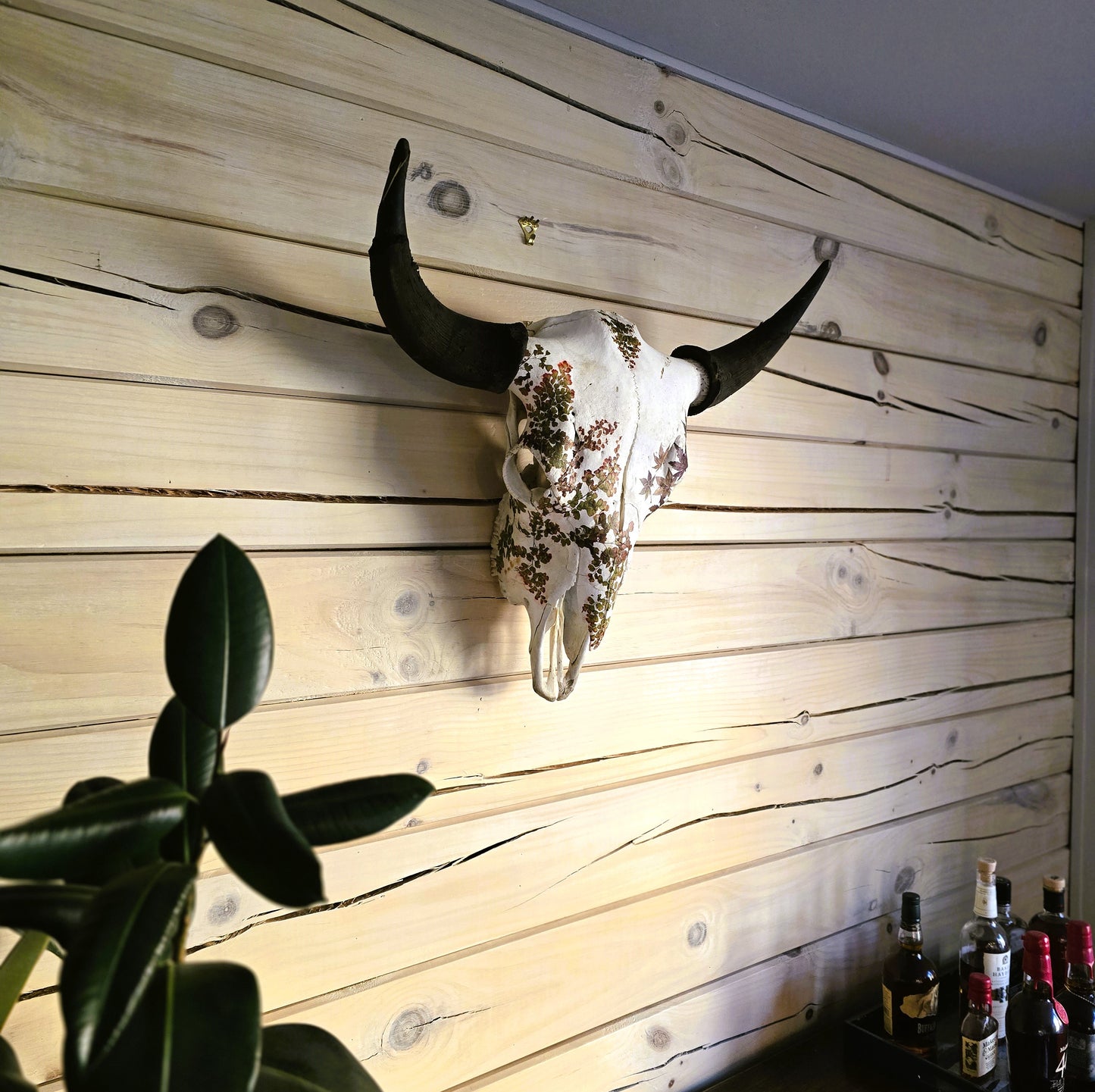 Cody - Buffalo Skull