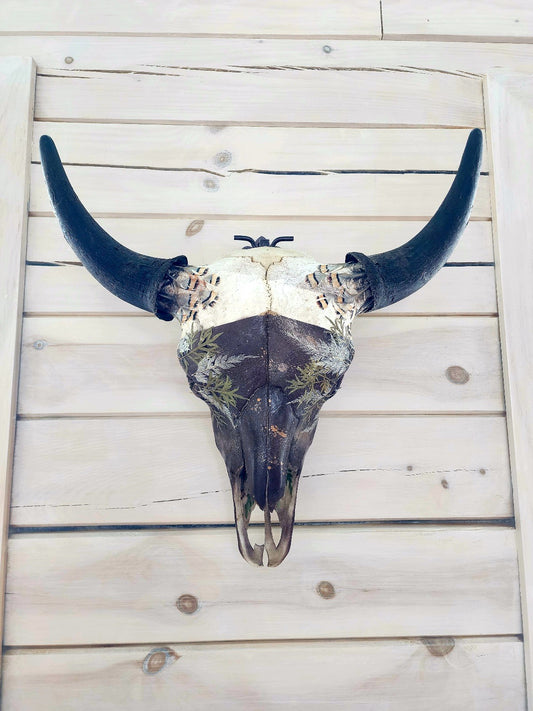 Sebastian - Buffalo Skull