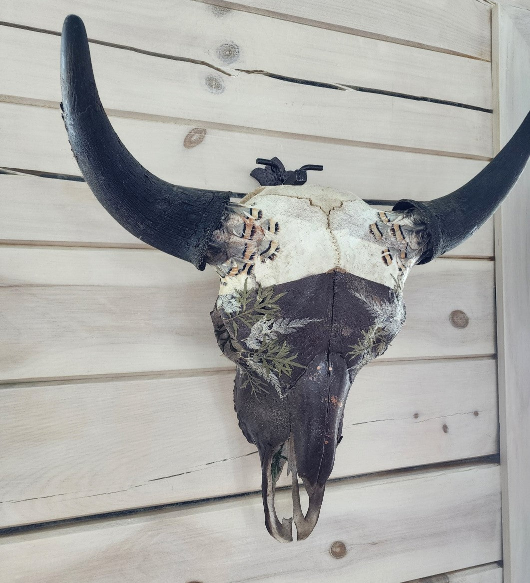 Sebastian - Buffalo Skull