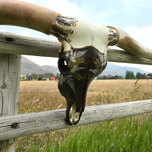 Stolen Dreams - Texas Longhorn Steer Skull