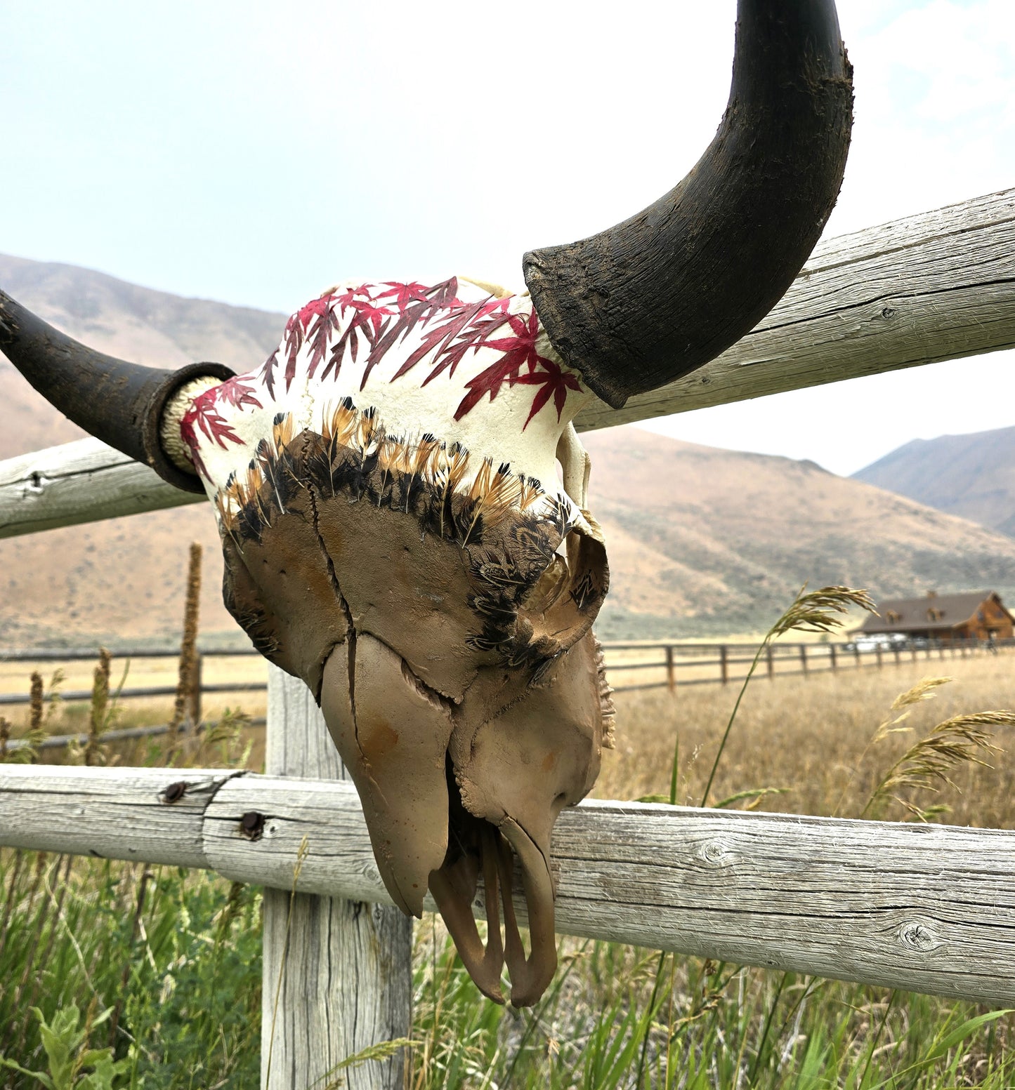 Wolf - Buffalo Skull